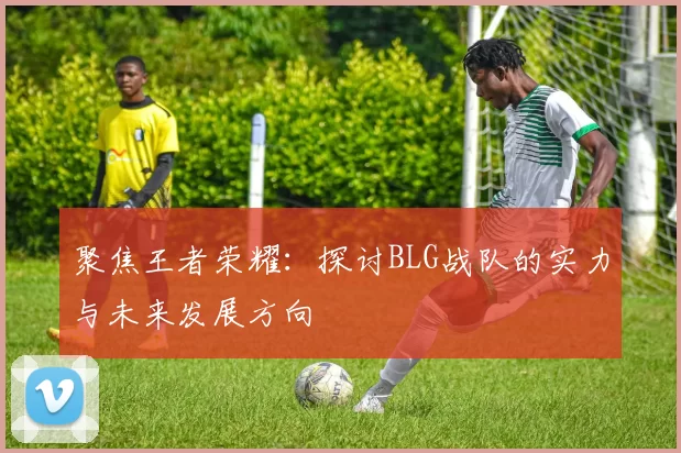 聚焦王者荣耀：探讨BLG战队的实力与未来发展方向