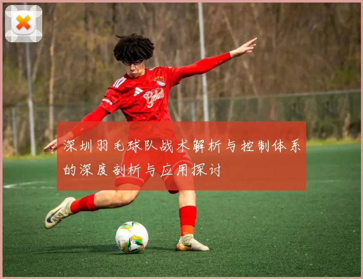 深圳羽毛球队战术解析与控制体系的深度剖析与应用探讨