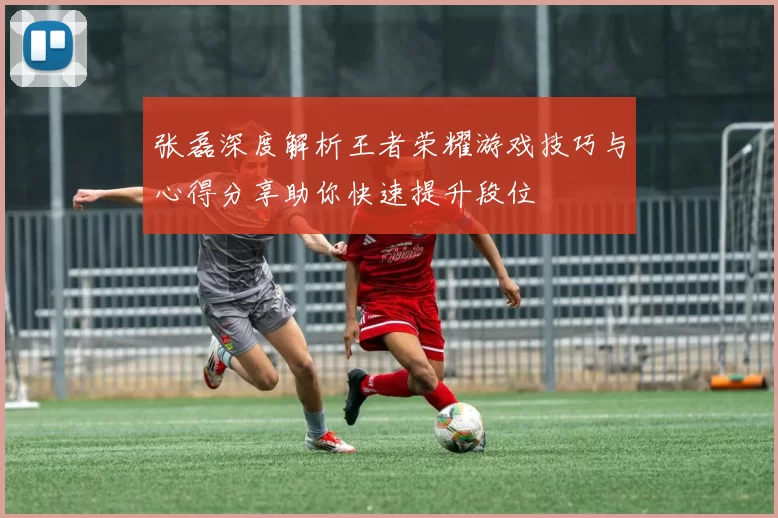 张磊深度解析王者荣耀游戏技巧与心得分享助你快速提升段位