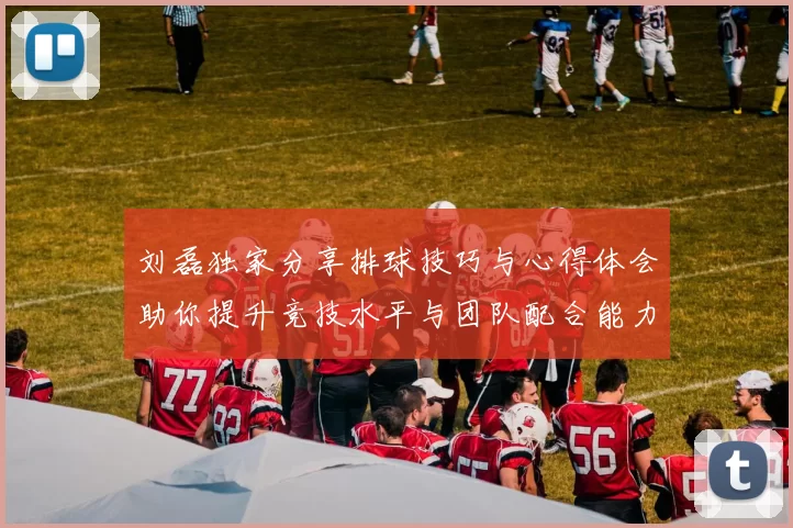 刘磊独家分享排球技巧与心得体会助你提升竞技水平与团队配合能力