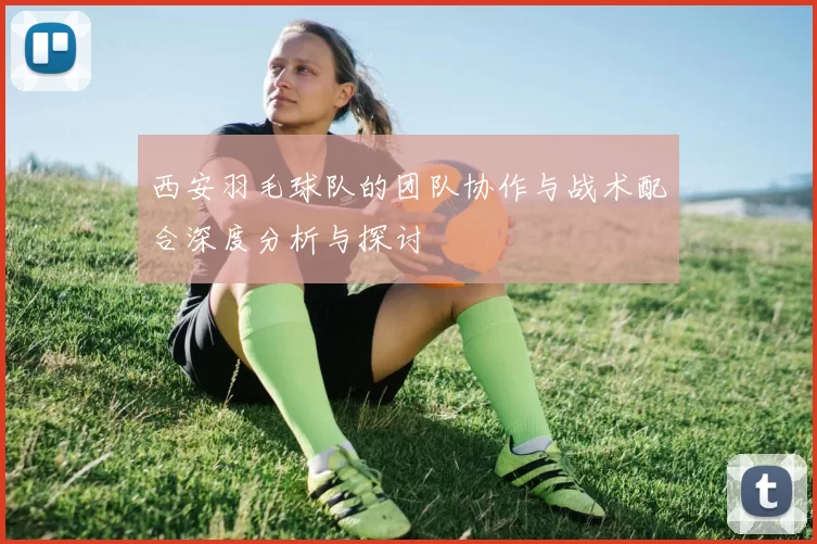 西安羽毛球队的团队协作与战术配合深度分析与探讨