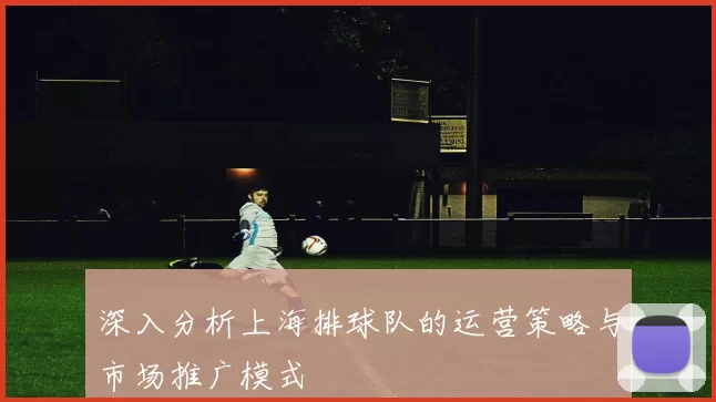 深入分析上海排球队的运营策略与市场推广模式