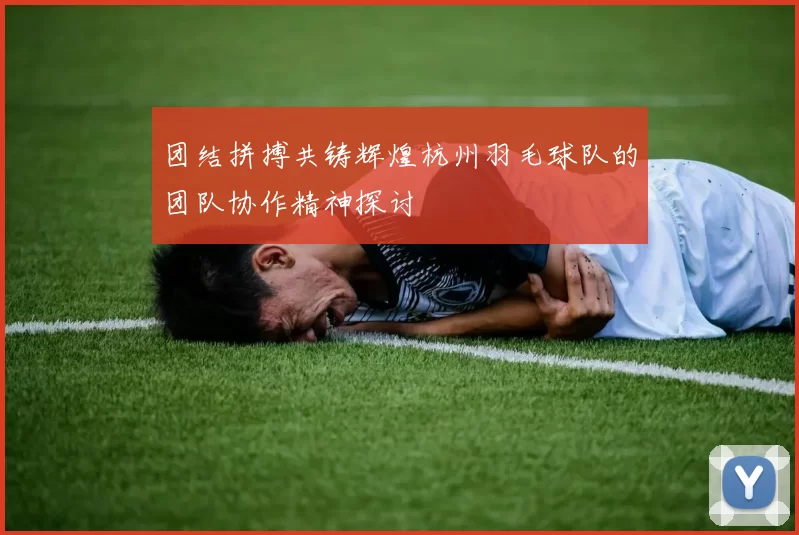 团结拼搏共铸辉煌杭州羽毛球队的团队协作精神探讨