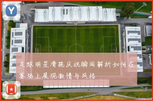 足球明星滑跪庆祝瞬间解析如何在赛场上展现激情与风格