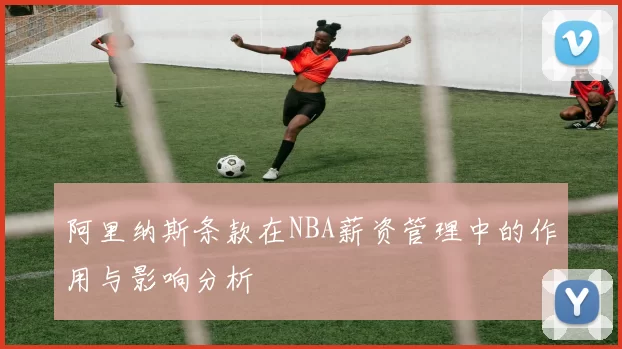 阿里纳斯条款在NBA薪资管理中的作用与影响分析