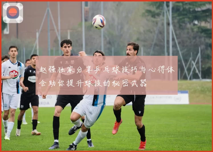 赵强独家分享乒乓球技巧与心得体会助你提升球技的秘密武器