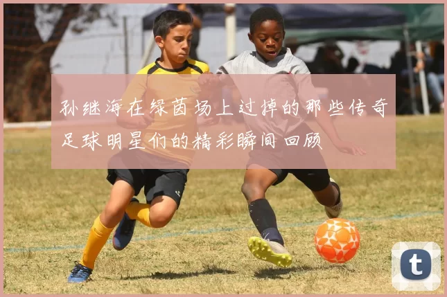 孙继海在绿茵场上过掉的那些传奇足球明星们的精彩瞬间回顾