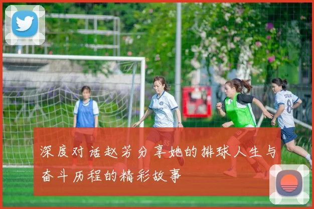 深度对话赵芳分享她的排球人生与奋斗历程的精彩故事