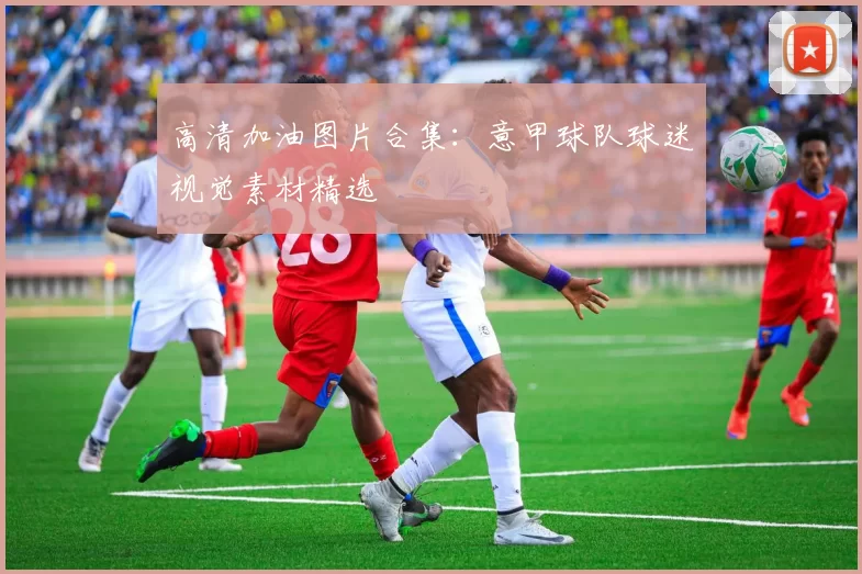 高清加油图片合集：意甲球队球迷视觉素材精选