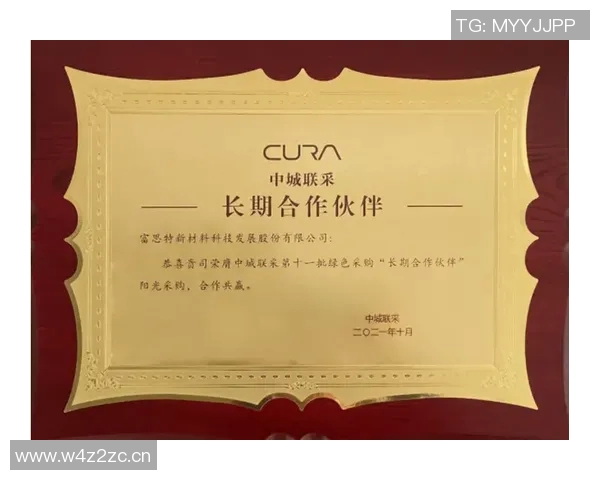 以联盟为核心的战略合作模式探索与实践分析