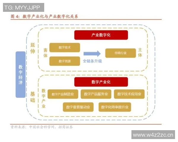 体育产业发展新趋势：数字化转型与全球化布局的双重驱动
